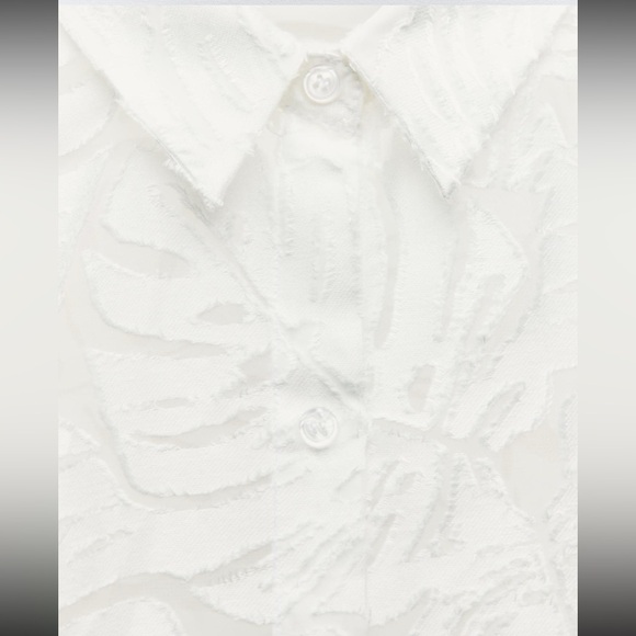 Zara Semi- Sheer top - Picture 5 of 5